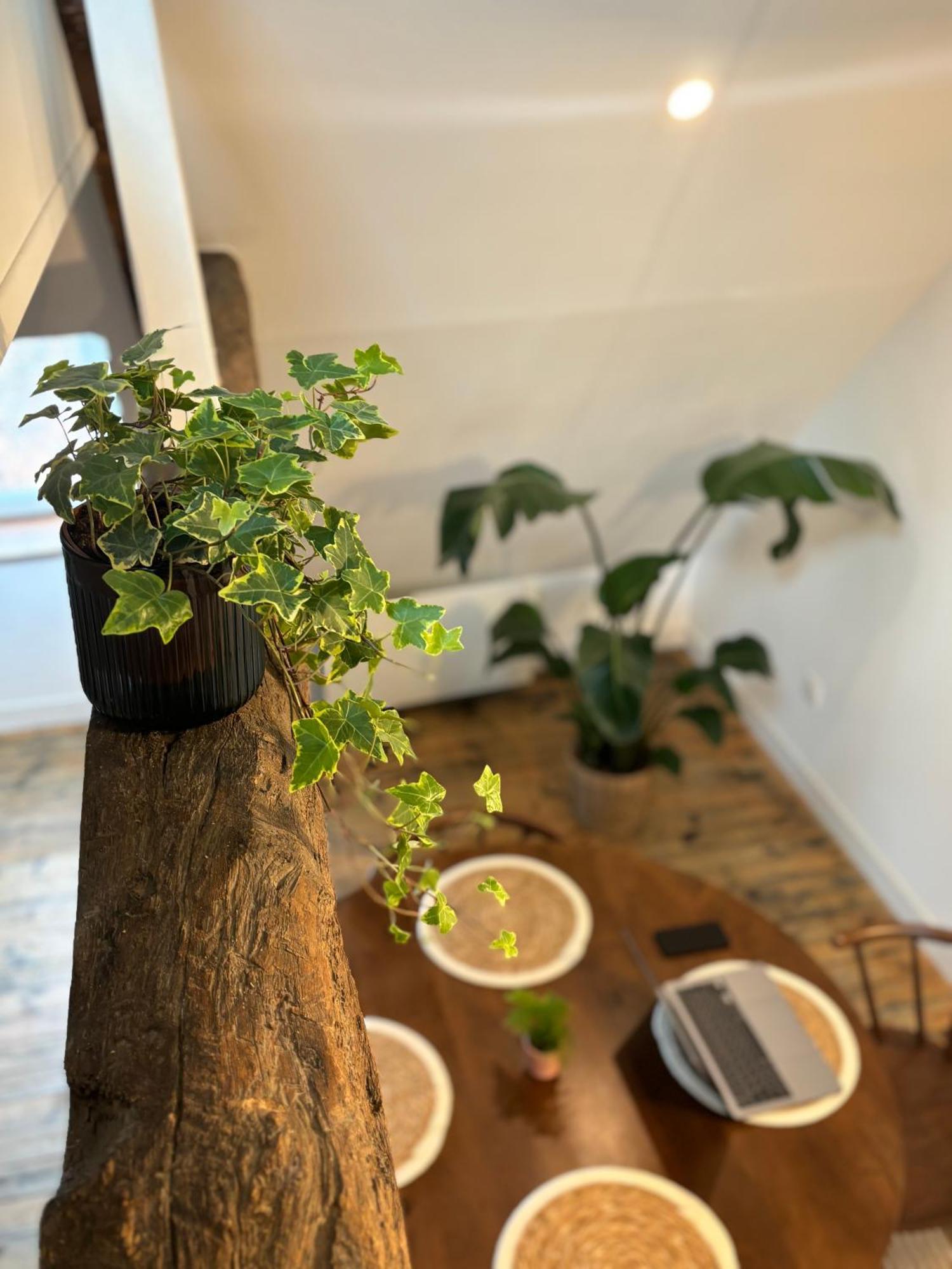 La Maison D'Aline Apartment Арас Екстериор снимка